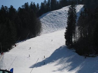 Chalet Cornimont Umgebung 34