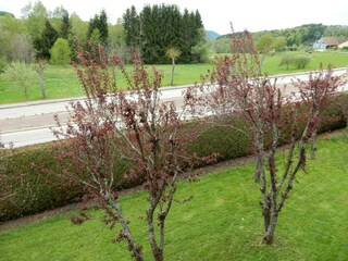 Chalet Anould Registrazione all'aperto 10