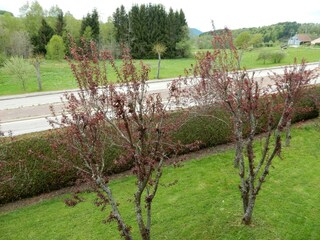 Chalet Anould Registrazione all'aperto 7