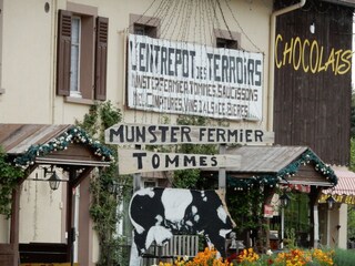 Chalet Anould Umgebung 26