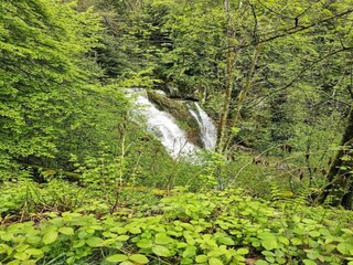 Chalet Anould Umgebung 35