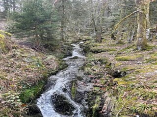 Chalet Anould Environnement 31