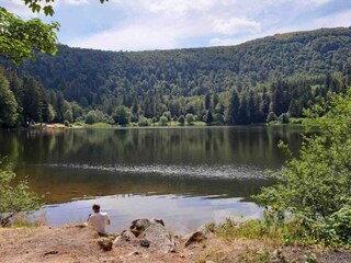 Chalet Anould Environnement 38