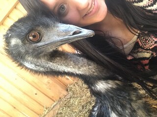 Casa per le vacanze Bad Goisern Ambiente 32