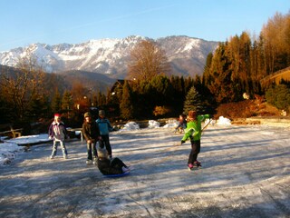 Casa per le vacanze Bad Goisern Ambiente 10