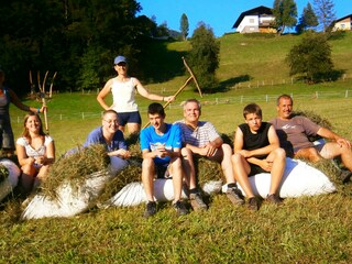 Vakantiehuis Bad Goisern Buitenaudio-opname 9