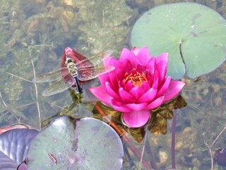 Casa per le vacanze Bad Goisern Ambiente 39