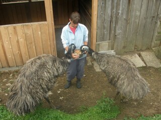 Casa per le vacanze Bad Goisern Ambiente 30