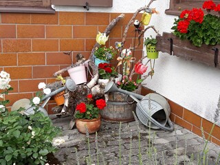 Casa per le vacanze Bad Goisern Ambiente 11
