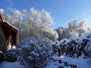 Mooi chalet met sauna en uitzicht op de Vogezen - Anoul - image1