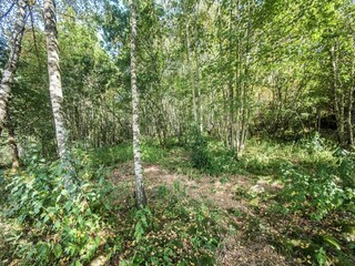 Chalet Anould Umgebung 28