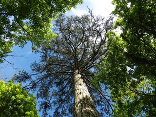 Maison de vacances Grandchamp Environnement 22