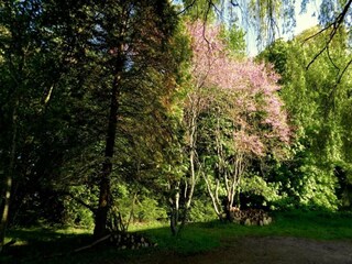 Casa de vacaciones Grandchamp Entorno 23