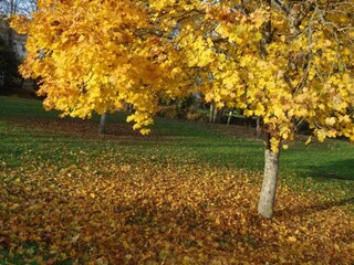 Casa de vacaciones Grandchamp Entorno 25