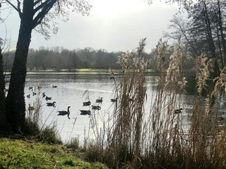 Casa per le vacanze Grandchamp Ambiente 34