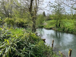 Casa de vacaciones Grandchamp Entorno 36