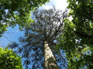 Ferienhaus Grandchamp Umgebung 23