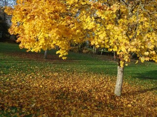 Casa per le vacanze Grandchamp Ambiente 25