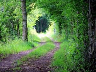 Ferienhaus Grandchamp Umgebung 26