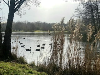 Ferienhaus Grandchamp Umgebung 34