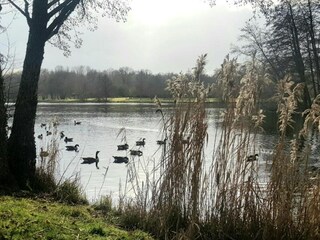 Vakantiehuis Grandchamp Omgeving 34