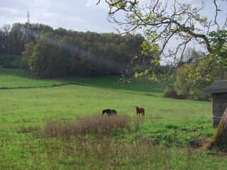 Vakantiehuis Grandchamp Omgeving 37