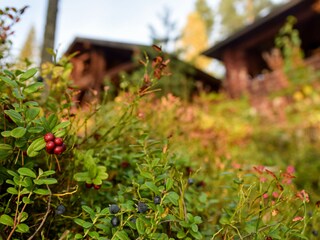 Casa per le vacanze Kiviapaja Registrazione all'aperto 10