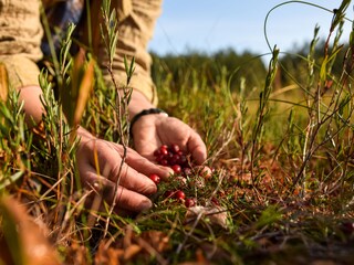 Casa per le vacanze Kiviapaja Ambiente 26