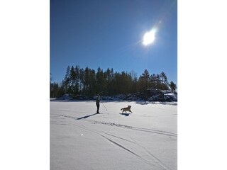 Casa per le vacanze Kiviapaja Ambiente 38