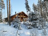 Winter vacation in our log cabin