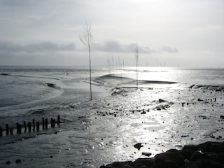 Ebbe im Wremer Tief