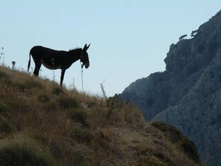 Villa Makrigialos Umgebung 27