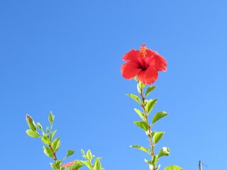 Villa Makrigialos Grabación al aire libre 4