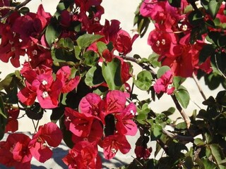 Villa Makrigialos Outdoor Recording 3