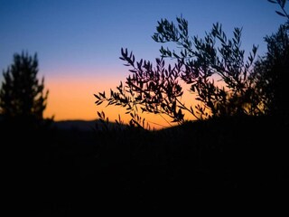 Villa Vrises Entorno 37