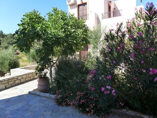 Villa Geropotamos Außenaufnahme 5