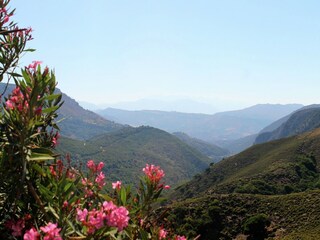 Casa per le vacanze Archea Eleftherna Ambiente 22
