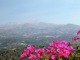 Holiday house Archea Eleftherna Environment 40