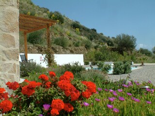 Villa Agia Galini Buitenaudio-opname 2