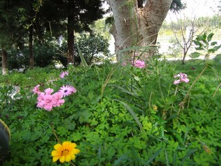 Villa Lefkogia Buitenaudio-opname 12