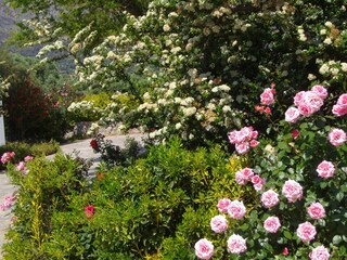 Villa Lefkogia Enregistrement extérieur 19