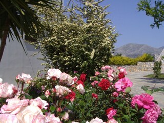 Villa Lefkogia Grabación al aire libre 20