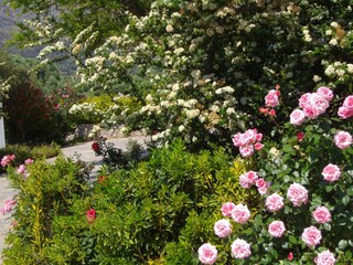 Villa Lefkogia Enregistrement extérieur 16