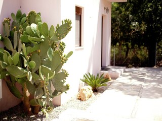 Villa Prines Buitenaudio-opname 6