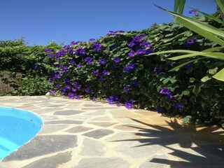 Villa Prines Outdoor Recording 15
