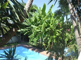 Villa Rethymnon Außenaufnahme 12