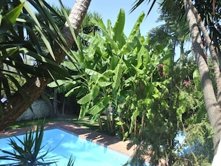 Villa Rethymnon Außenaufnahme 13