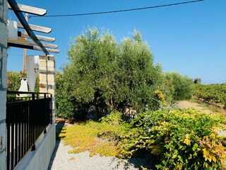 Villa Pigi Grabación al aire libre 17