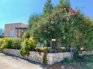 Villa Pigi Außenaufnahme 7