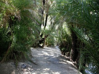 Villa Pigi Environnement 30